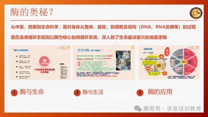 圖片39.jpg